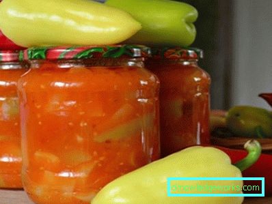 42 - Како да се направи бугарска пиперка
