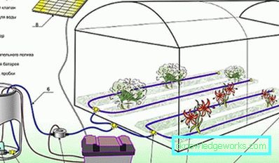 Наводнување капка по капка во стаклена градина: уредот и предностите на системот
