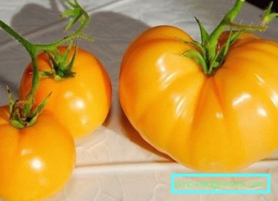 351 Жолта домати